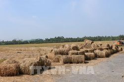 Ứng dụng chế phẩm sinh học - đột phá giảm phát thải khí mê-tan