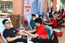 Giọt m&aacute;u hồng ng&agrave;y h&egrave;: Khi người trẻ viết h&agrave;nh tr&igrave;nh nh&acirc;n &aacute;i