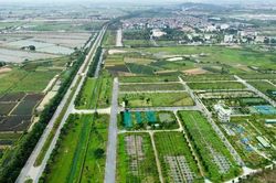 Vì sao đấu giá đất hạ nhiệt?