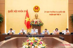 Chủ tịch Quốc hội: Bảo vệ chất x&aacute;m, trao quyền cho doanh nghiệp xuất bản