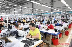 EVFTA và hàng Việt tại Bắc Âu: Hiệu quả thương mại trước sức ép tiêu chuẩn mới