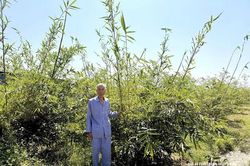 Ông Lê Khắc Phú - người cao tuổi gương mẫu, làm kinh tế giỏi