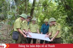 Không để rừng giáp ranh thành 'điểm mù' quản lý