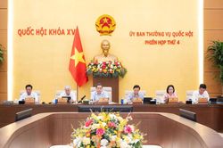 Sửa Luật Hải quan siết quản l&yacute; giao dịch xuất nhập khẩu tr&ecirc;n nền tảng số