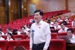 Nhiều ý kiến tâm huyết tại thảo luận tổ HĐND tỉnh