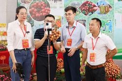 Bắc Ninh triển khai Chiến lược quốc gia về khởi nghiệp sáng tạo với 7 nhóm nhiệm vụ, giải pháp trọng tâm