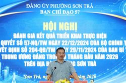 Phường Sơn Trà giải quyết thủ tục hành chính trước hạn và đúng hạn đạt 99%