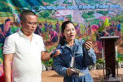 Đảm bảo chất lượng cây giống trước vụ trồng