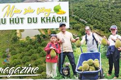 E-magazine M&ugrave;a sầu ri&ecirc;ng thu h&uacute;t du kh&aacute;ch