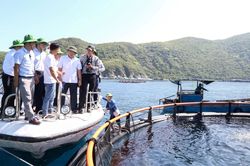 Tăng cường quản lý nuôi biển