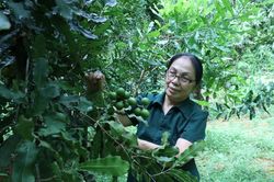 Thanh ni&ecirc;n xung phong x&atilde; Thất Kh&ecirc;: Thi đua y&ecirc;u nước