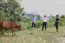 B&agrave;i 2: Cả hệ thống ch&iacute;nh trị v&agrave;o cuộc