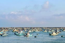 Nỗi lo thiếu lao động biển vụ cá nam