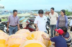 Sơ kết thực hiện Dự &aacute;n đồng quản l&yacute; bảo vệ nguồn lợi thủy sản