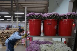 L&acirc;m Đồng tập trung giải ng&acirc;n vốn cho c&aacute;c dự &aacute;n ODA