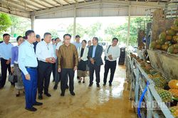 Bộ trưởng Bộ Nông nghiệp và Môi trường Lào thăm, làm việc với Công ty Cổ phần Thực phẩm xuất khẩu Đồng Giao