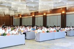 Sở Nông nghiệp và Môi trường triển khai nhiệm vụ trọng tâm 6 tháng cuối năm 2026