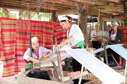 Tiếng thoi khắc khoải giữa đại ngàn - Kỳ 3: Đánh thức tiếng thoi