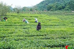 Quy hoạch tạo không gian phát triển bền vững ở Bình Thuận