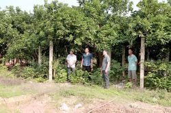 Gần Dân tạo đồng thuận