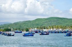 Gia Lai: Siết chặt quản lý tàu cá không đủ điều kiện, gắn trách nhiệm người đứng đầu