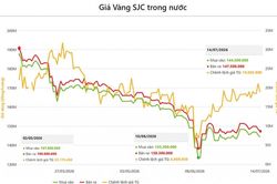 Thị trường vàng trước nhiều lực kéo trái chiều, khó sinh lời đột biến