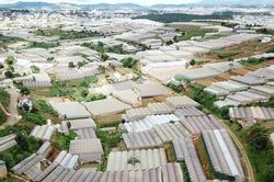 L&acirc;m Đồng chuẩn bị nguồn nh&acirc;n lực cho nền n&ocirc;ng nghiệp xanh, bền vững