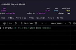 Cổ phiếu ANI g&acirc;y sốt tr&ecirc;n UPCoM: Thị gi&aacute; tăng phi m&atilde; d&ugrave; doanh nghiệp g&aacute;nh nợ lớn