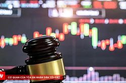 CVS Holdings tiếp tục bị xử phạt vì 'quên' công bố thông tin trái phiếu