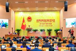 Làm rõ thực trạng hoa quả nhập khẩu không rõ nguồn gốc xuất xứ