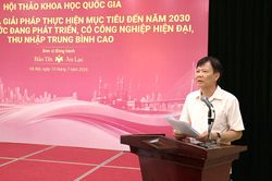 Để hiện thực h&oacute;a mục ti&ecirc;u Việt Nam c&oacute; thu nhập trung b&igrave;nh cao