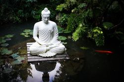 Ph&acirc;n t&iacute;ch h&igrave;nh tượng đức Phật trong kinh điển Nikāya v&agrave; H&aacute;n tạng
