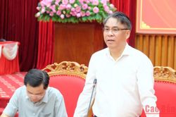B&iacute; thư Tỉnh ủy Phan Thăng An: Tạo đột ph&aacute; trong thực hiện Nghị quyết số 57-NQ/TW