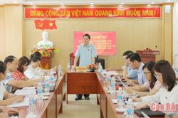 Ban Văn h&oacute;a - X&atilde; hội, HĐND tỉnh gi&aacute;m s&aacute;t việc thực hiện ch&iacute;nh s&aacute;ch người c&oacute; c&ocirc;ng tại x&atilde; Nguy&ecirc;n B&igrave;nh
