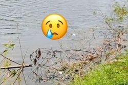 Ph&aacute;t hiện thi thể nam giới tr&ecirc;n s&ocirc;ng Th&aacute;c Ma, chiếc xe m&aacute;y c&aacute;ch hiện trường 1km h&eacute; lộ manh mối?