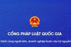 X&acirc;y dựng nền tảng số quốc gia d&ugrave;ng chung về ph&aacute;p luật