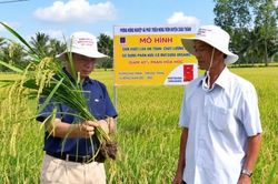 Giúp nông dân yên tâm sản xuất, làm giàu từ nông nghiệp
