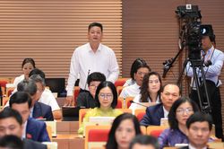 HĐND TP H&agrave; Nội truy tr&aacute;ch nhiệm cơ quan quản l&yacute; chợ Long Bi&ecirc;n về tr&aacute;i c&acirc;y kh&ocirc;ng r&otilde; nguồn gốc