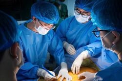 Bệnh viện Đa khoa Xanh Pôn tư vấn thành công ca hiến tạng thứ 5