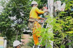 Lịch cúp điện TP. Cần Thơ (Sóc Trăng cũ) từ ngày 15 - 19/7/2026: Nhiều khách hàng sẽ nằm trong diện mất điện cả ngày