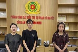 'Nữ quái' cầm đầu đường dây mua bán tinh dầu 'Pod chill' sa lưới