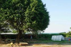 Giao gần 6.500m2 đất đấu giá ở Phú Diễn cho Công ty Nhà Haland xây nhà ở thấp tầng