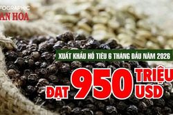 Xuất khẩu hồ ti&ecirc;u 6 th&aacute;ng đầu năm 2026 đạt 950 triệu USD, tăng mạnh cả lượng v&agrave; kim ngạch