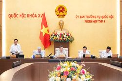 Ủy ban Thường vụ Quốc hội cho &yacute; kiến về dự &aacute;n Luật Ph&ograve;ng, chống phổ biến vũ kh&iacute; hủy diệt h&agrave;ng loạt