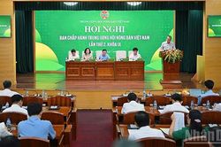Đổi mới Hội Nông dân Việt Nam theo hướng chuyên nghiệp và hiện đại