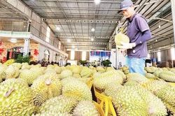 Hải quan triển khai giải pháp hỗ trợ thông quan sầu riêng xuất khẩu