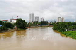 Các đơn vị Quân đội chủ động ứng phó với mưa lớn, lũ quét, sạt lở đất
