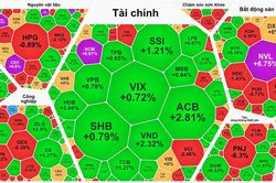 Chứng khoán tăng mạnh, cổ phiếu PNJ vẫn giảm 6,3%