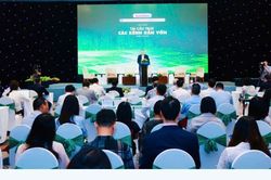 Tái cấu trúc các kênh dẫn vốn để tăng trưởng 2 con số