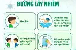 Số ca nhiễm Adenovirus tăng chóng mặt, nguy cơ lây lan trong mùa hè
